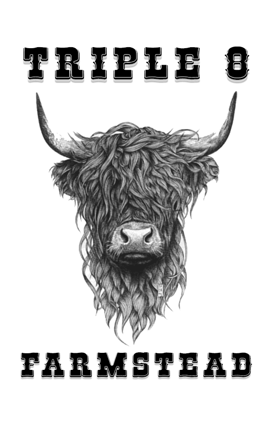 Triple 8 Farmstead - Highland Cow - T-Shirt